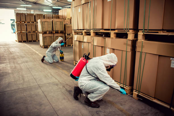 Best Pest Prevention Services  in Farmington, IL
