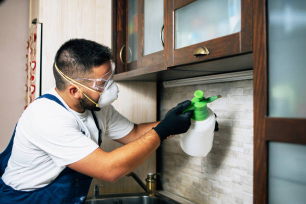 Best Cockroach Control Services  in Farmington, IL