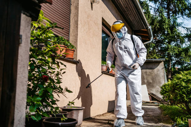 Best Spider Control Near Me  in Farmington, IL
