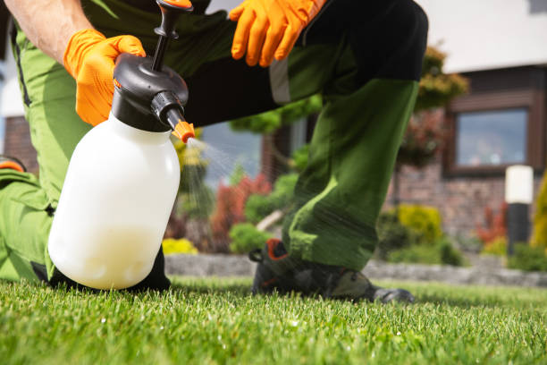 Best Pest Inspection Near Me  in Farmington, IL