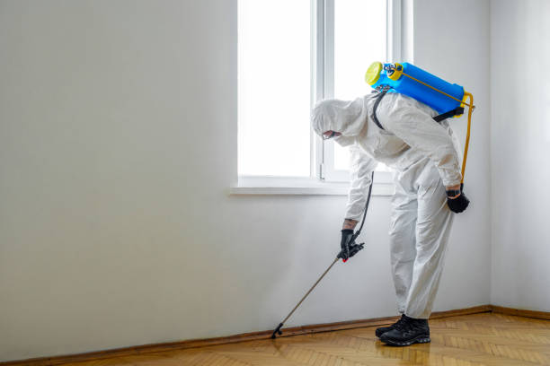 Best Wasp Removal Services  in Farmington, IL