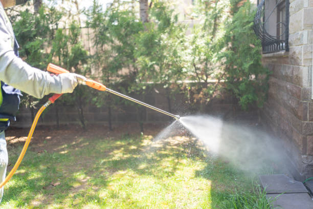 Best Pest Removal Services  in Farmington, IL