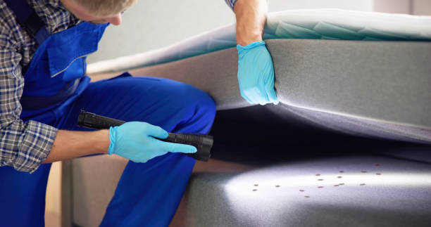 Best Emergency Pest Control  in Farmington, IL