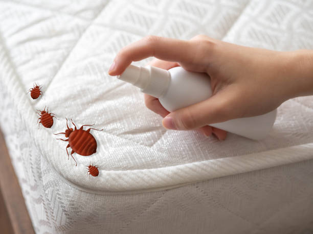 Best Local Pest Control Services  in Farmington, IL