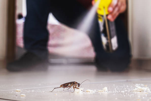Best Cockroach Control Services  in Farmington, IL