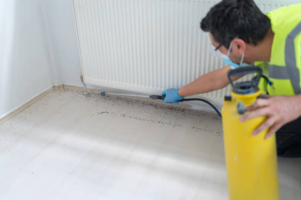 Best Mosquito Control Services  in Farmington, IL