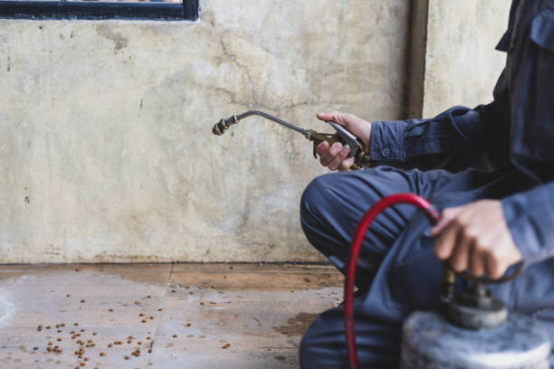 Best Pest Control Near Me  in Farmington, IL